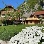 Alojamento de Acomodação e Pequeno-almoço Ravnik 3*