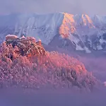 Alojamento de Acomodação e Pequeno-almoço Ravnik