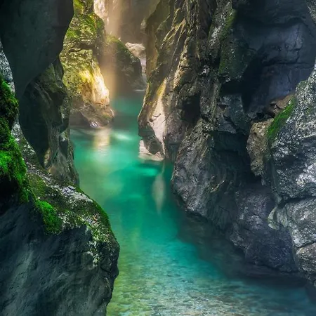 Ravnik Couette-café 3*