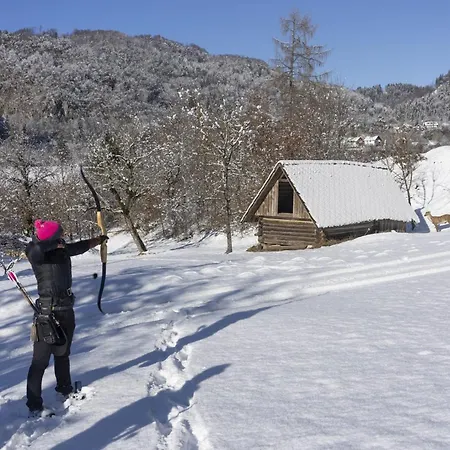 Alojamento de Acomodação e Pequeno-almoço Ravnik