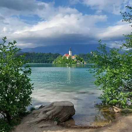 Couette-café Ravnik