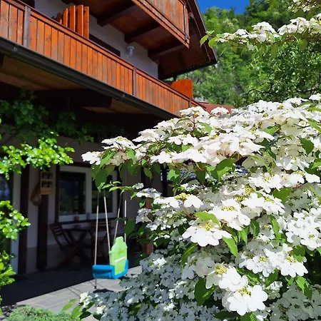 Alojamento de Acomodação e Pequeno-almoço Ravnik