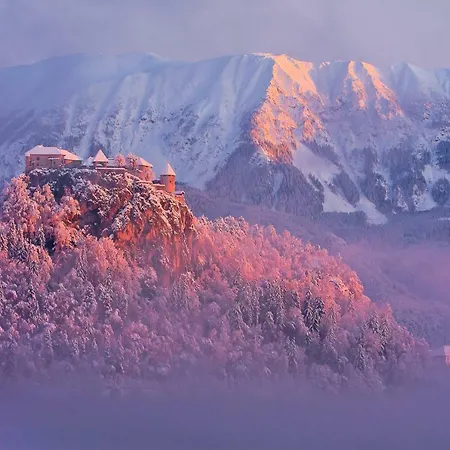 Couette-café Ravnik