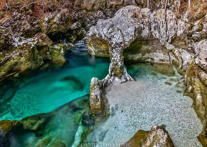 Bed & Breakfast Ravnik Bled