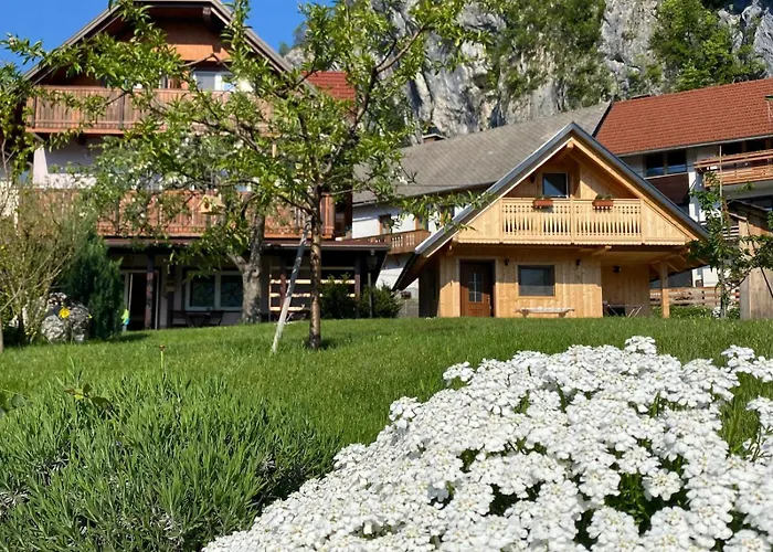 Bed & Breakfast Ravnik 3*