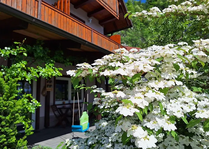 Bed & Breakfast Ravnik