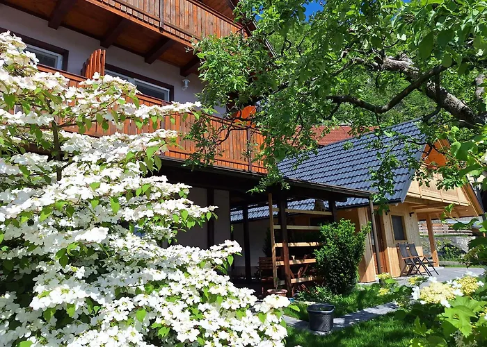 Bed & Breakfast Ravnik 3*