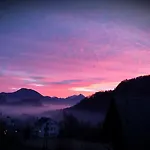 Ravnik