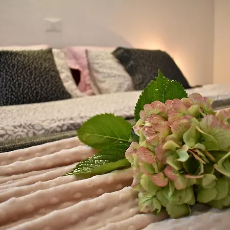 Ravnik Bed & Breakfast 3*