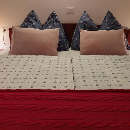 拉维尼可客房酒店 住宿加早餐酒店 布莱德