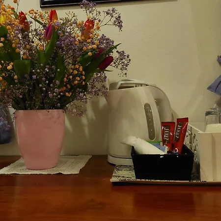 住宿加早餐酒店 拉维尼可客房酒店 3*