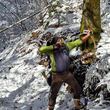 Ravnik Отель типа 