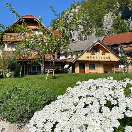 Alojamento de Acomodação e Pequeno-almoço Ravnik 3*