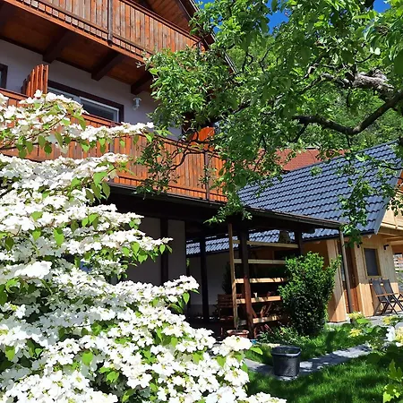 Alojamento de Acomodação e Pequeno-almoço Ravnik 3*