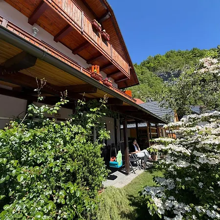 Oda ve Kahvaltı Ravnik 3*