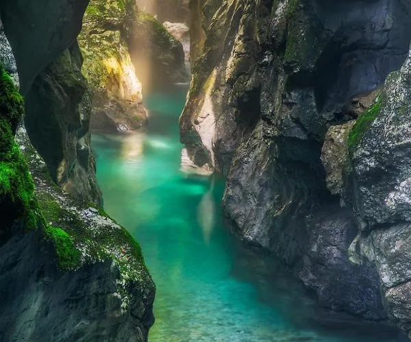 Ravnik krevet i doručak 3*